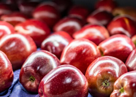 Apple Production and Export in Turkey